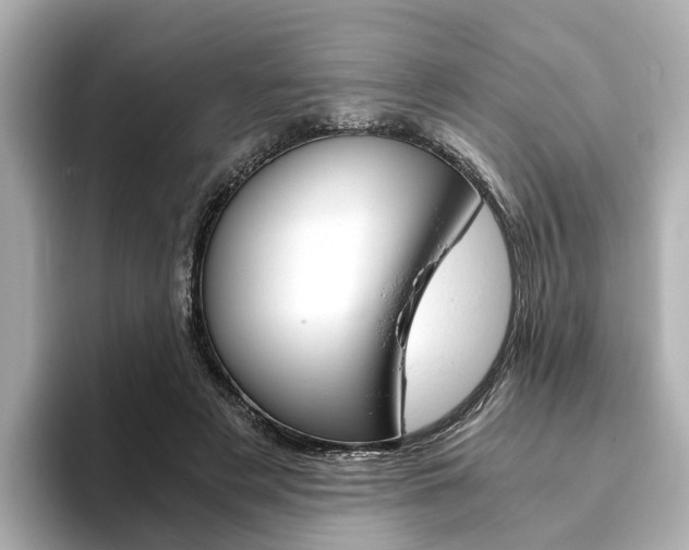 X0000093770497200710160859