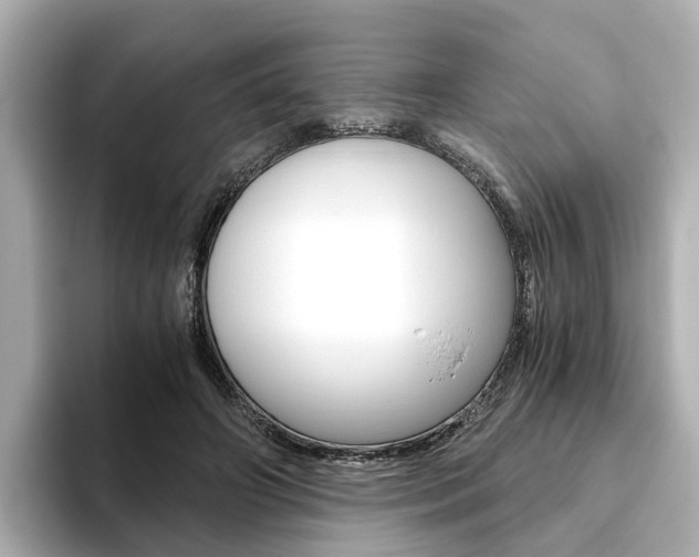 X0000093770498200710160859