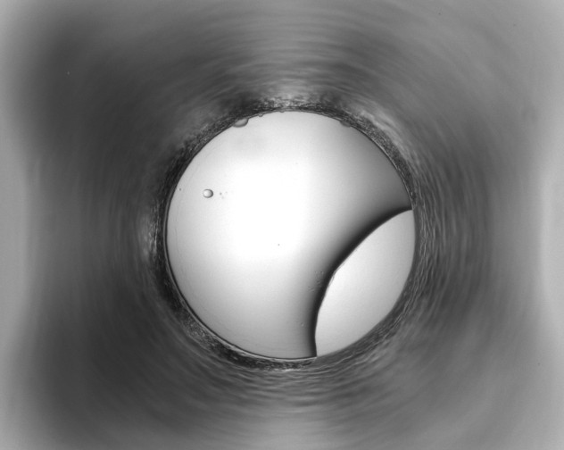 X0000093770499200710160859