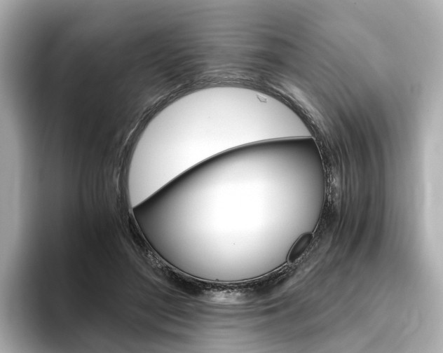 X0000093770500200710160859