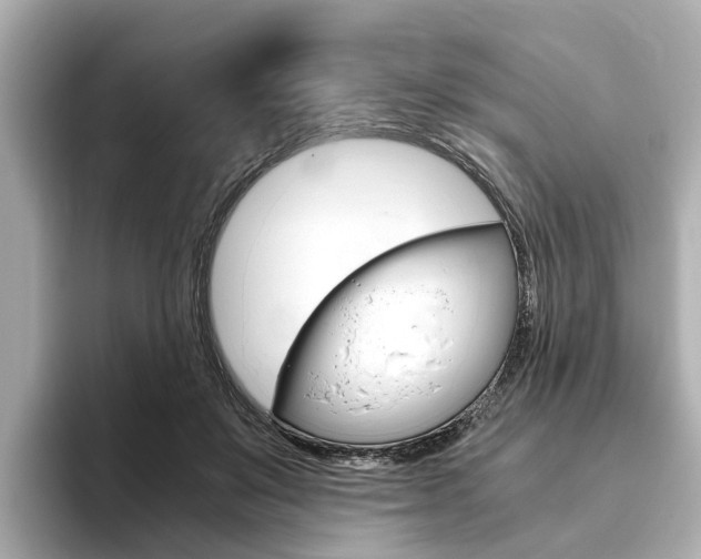 X0000093770503200710160859
