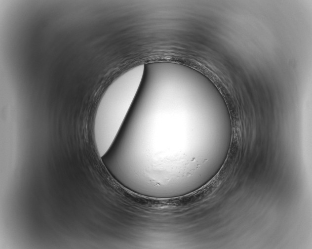 X0000093770504200710160859