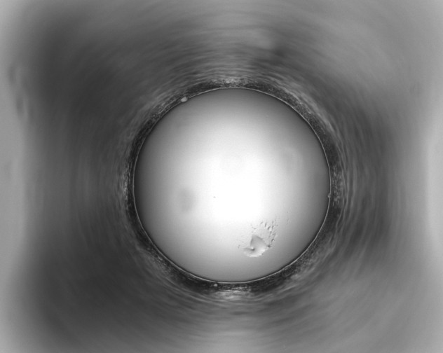 X0000093770505200710160859