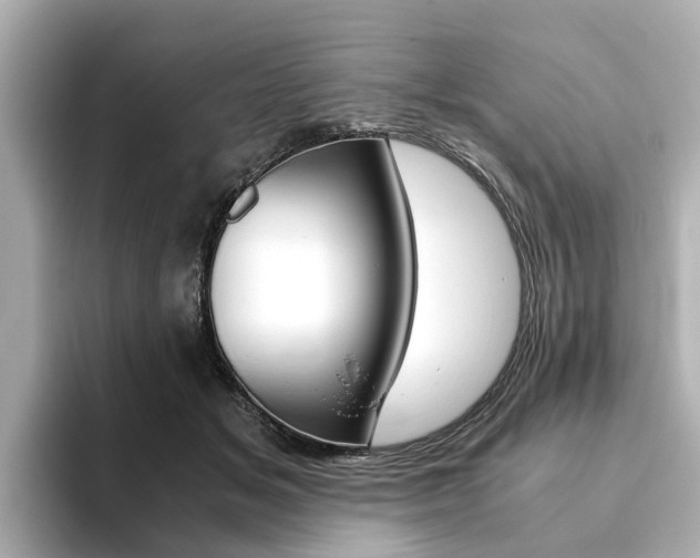 X0000093770509200710160859
