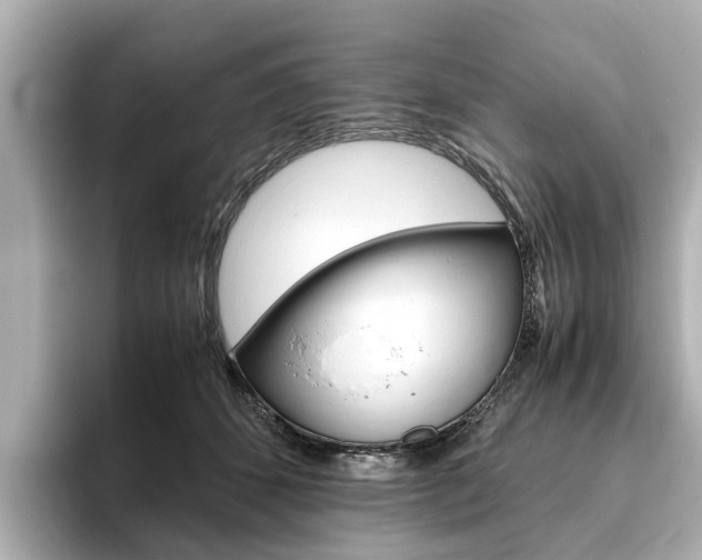X0000093770512200710160859