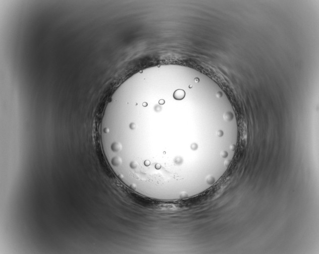 X0000093770519200710160859