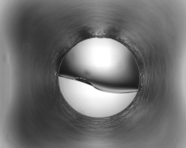 X0000093770521200710160859