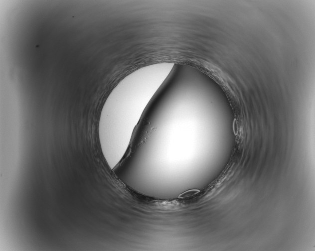 X0000093770525200710160859