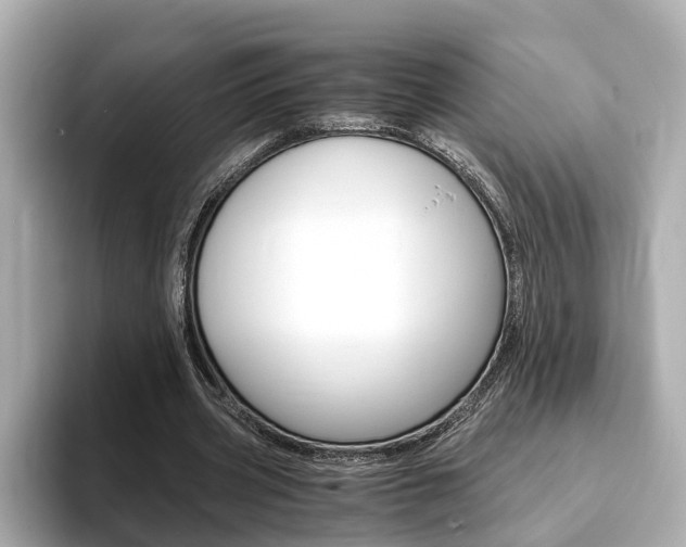 X0000093770533200710160858