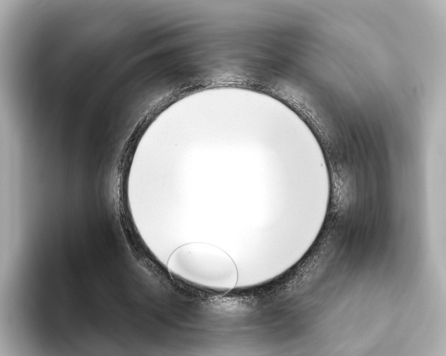 X0000093770534200710160858