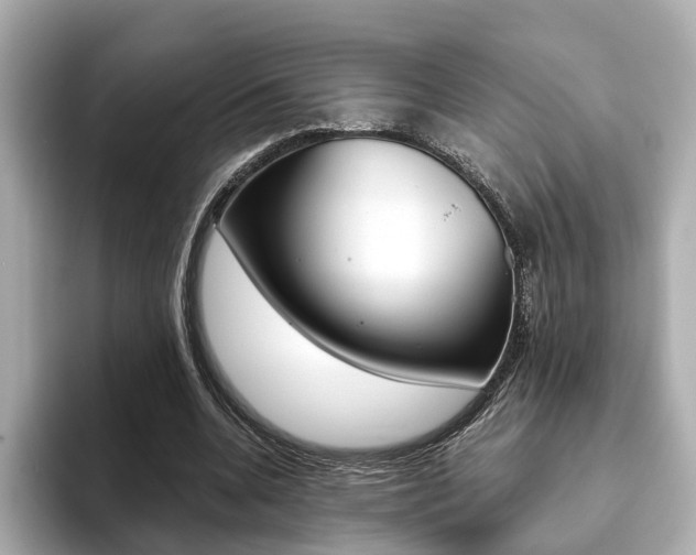 X0000093770536200710160858
