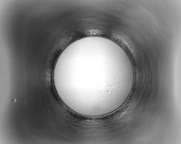 X0000093770545200710160858