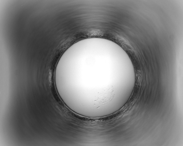 X0000093770550200710160858