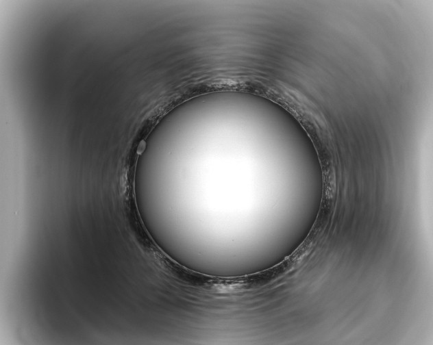 X0000093770560200710160858