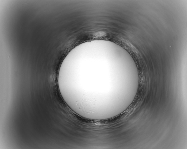 X0000093770565200710160859