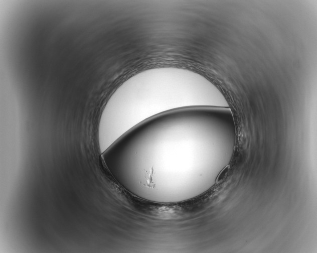 X0000093770566200710160859