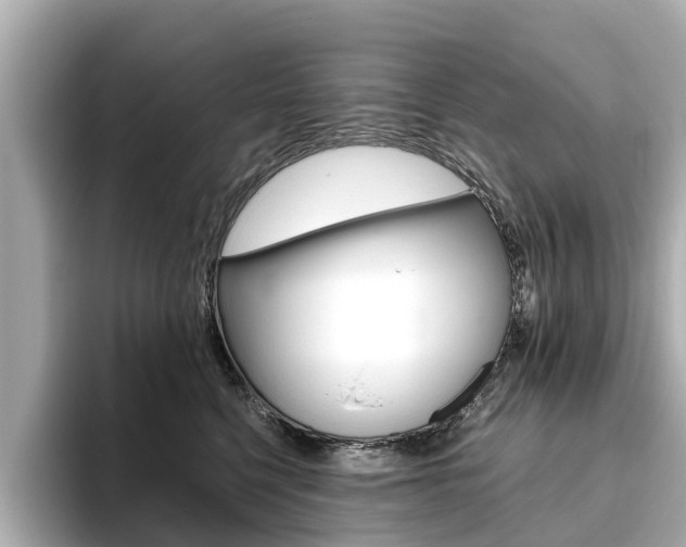 X0000093770568200710160859