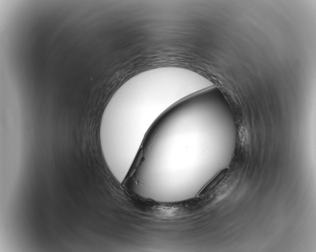 X0000093770570200710160859