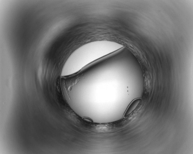 X0000093770574200710160859