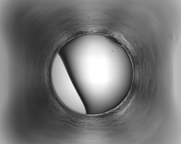 X0000093770585200710160858
