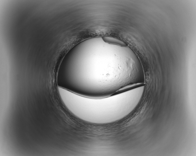 X0000093770593200710160858
