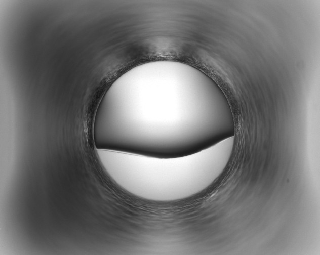 X0000093770595200710160858