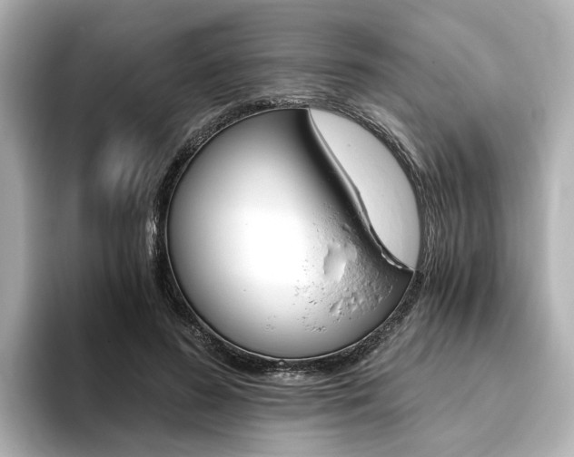 X0000093770596200710160858