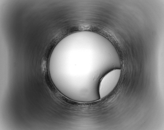 X0000093770598200710160858