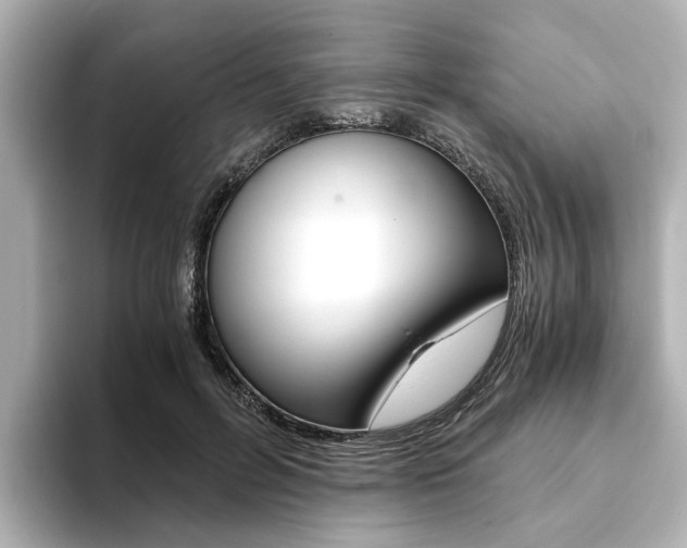 X0000093770600200710160858