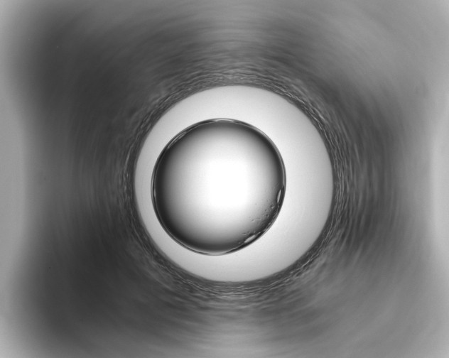 X0000093770601200710160858