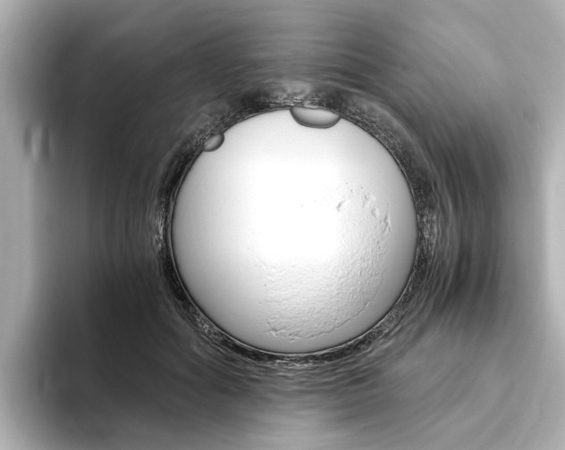 X0000093770602200710160858