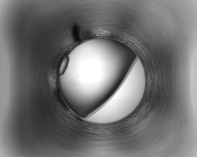 X0000093770604200710160858