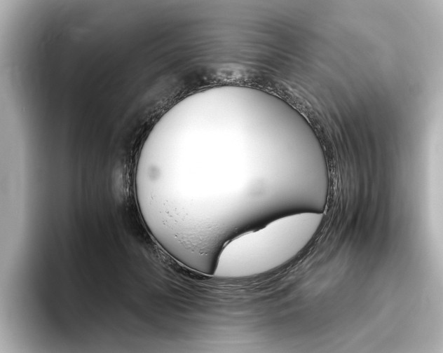 X0000093770606200710160858
