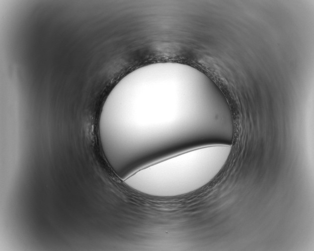 X0000093770615200710160858