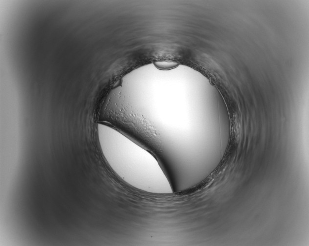 X0000093770619200710160858
