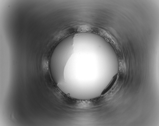 X0000093770621200710160857