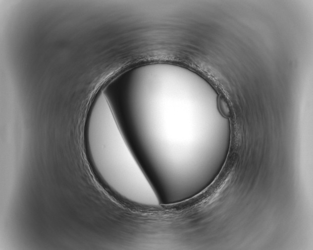 X0000093770625200710160857