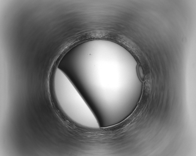 X0000093770626200710160857