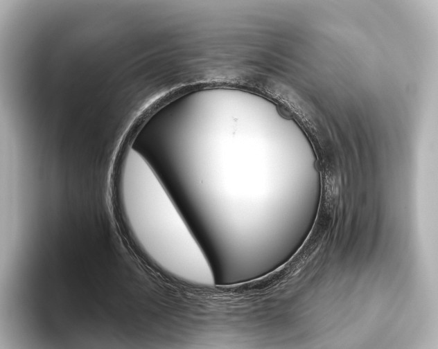 X0000093770628200710160857