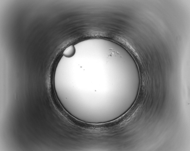 X0000093770629200710160857