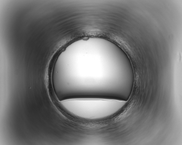 X0000093770630200710160857
