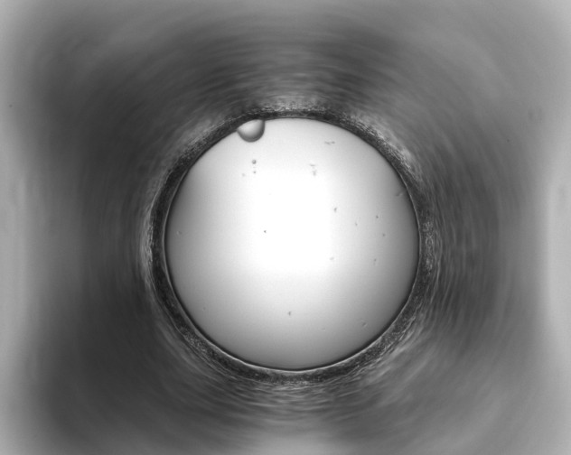 X0000093770631200710160857