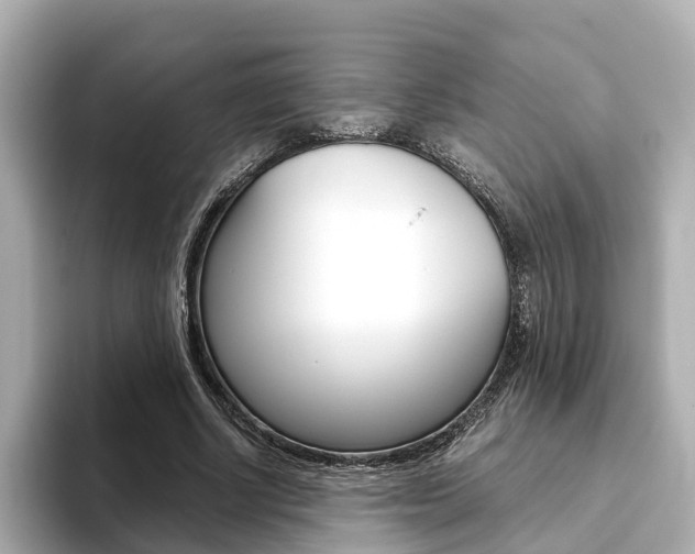 X0000093770634200710160857