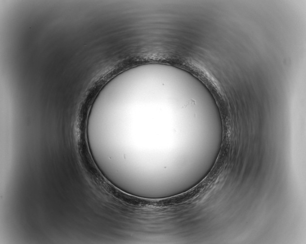 X0000093770635200710160857