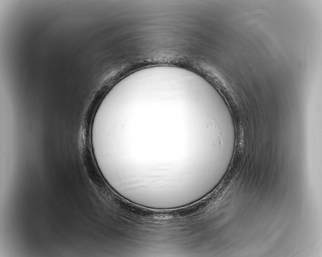 X0000093770636200710160857