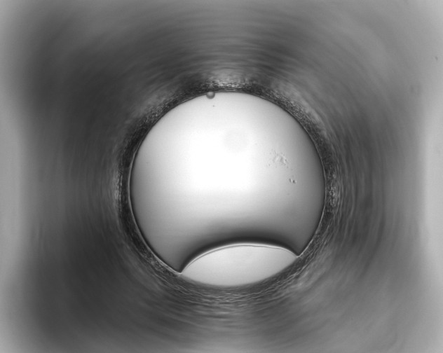 X0000093770639200710160857