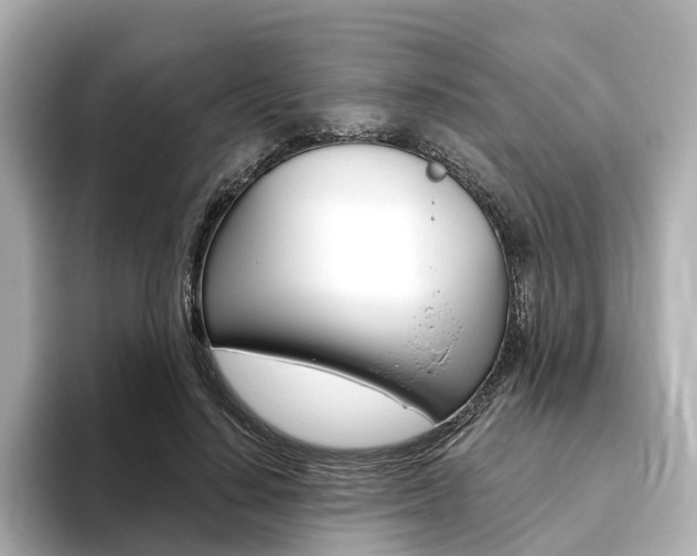 X0000093770644200710160857