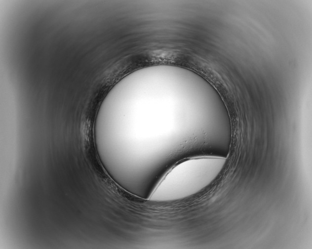 X0000093770649200710160857