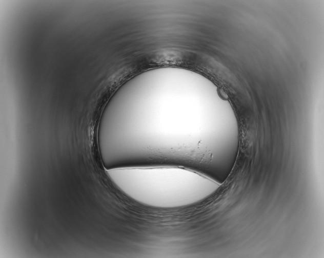 X0000093770652200710160857