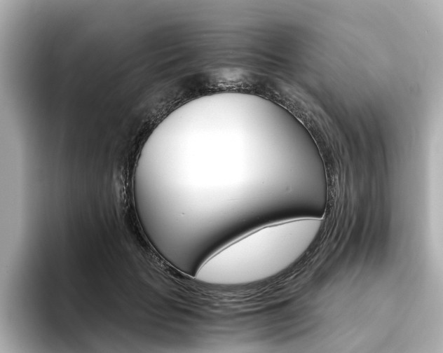 X0000093770653200710160857